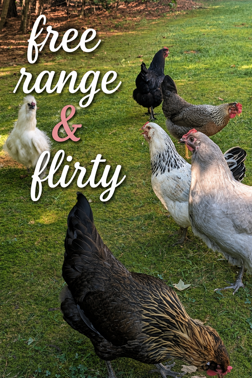 Free range & flirty