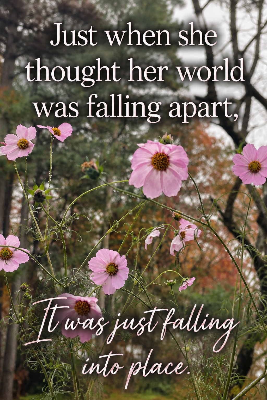 Just when she thought her world was falling apart, it was just falling into place.