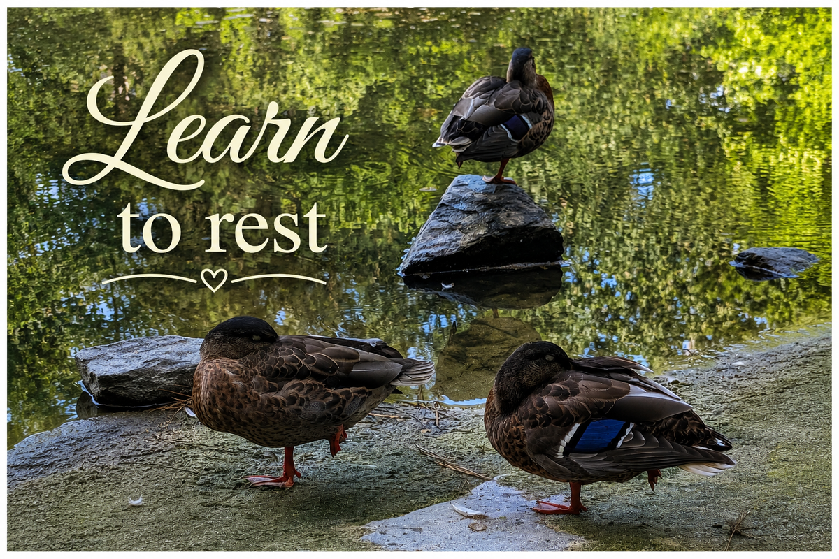 Learn to rest