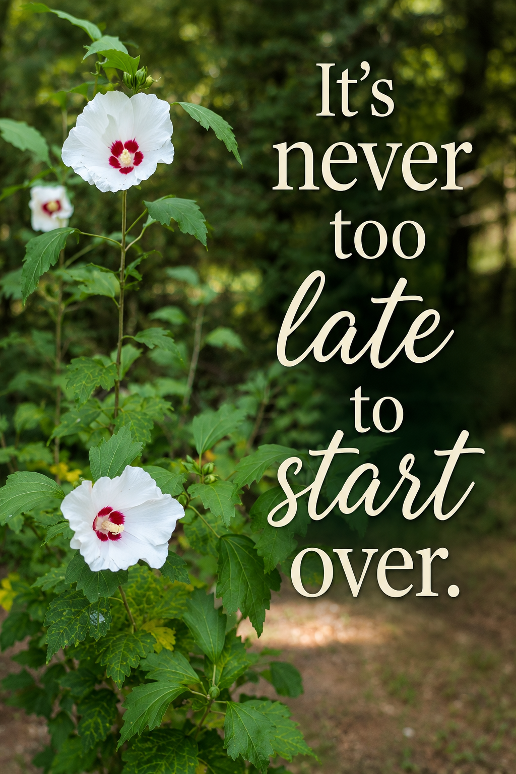 It's never too late to start over.